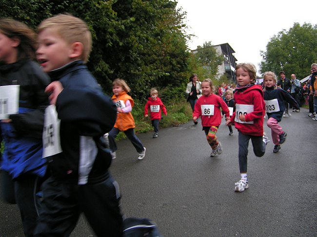 sterntalerlauf 027.jpg