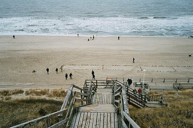 imm031_31.jpg