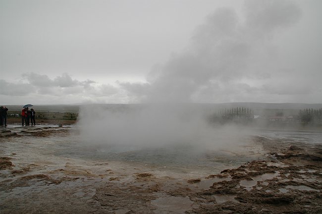 DSC_9073.JPG
