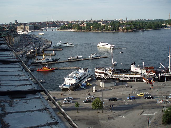 P6102659.JPG
