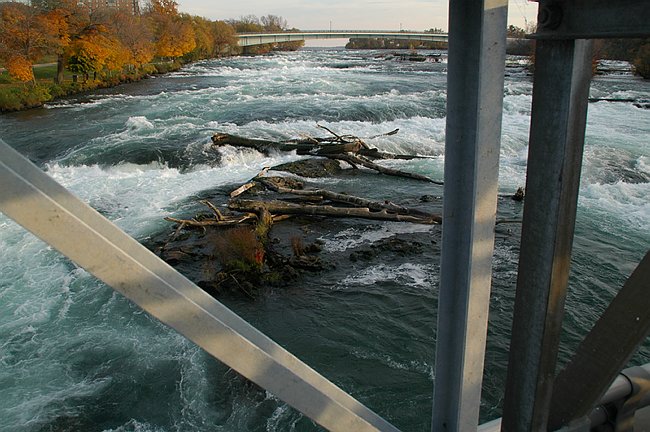 DSC_10075.JPG