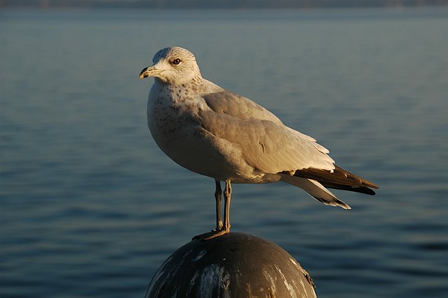 DSC_10139.JPG