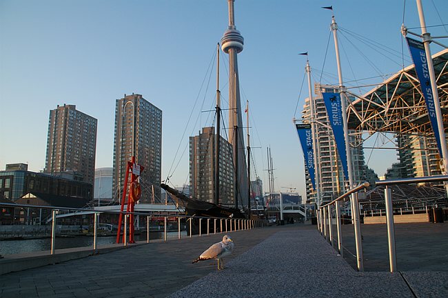 DSC_10152.JPG