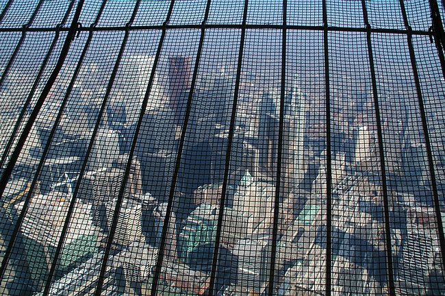 DSC_10176.JPG