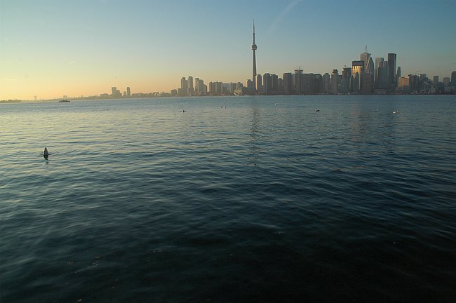 DSC_10224.JPG