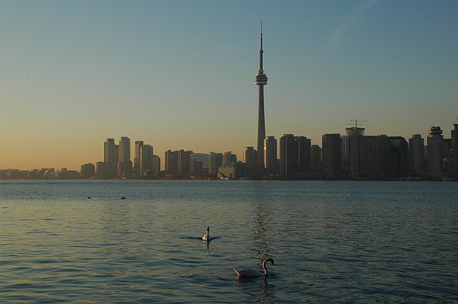 DSC_10230.JPG