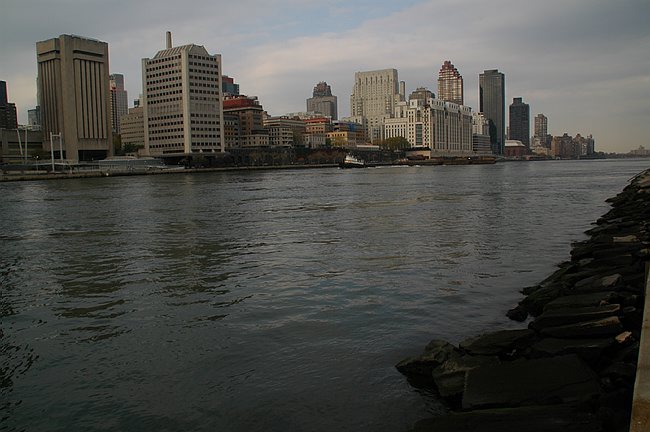 DSC_09900.JPG