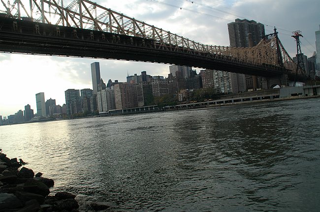DSC_09901.JPG