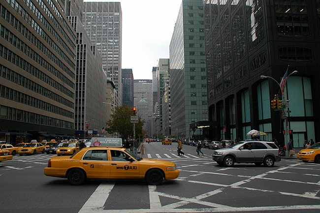 DSC_09904.JPG
