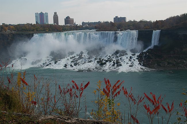 DSC_10008.JPG