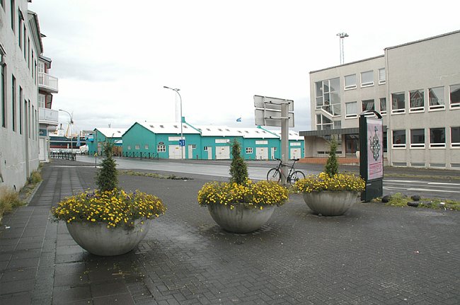 DSC_6791.JPG