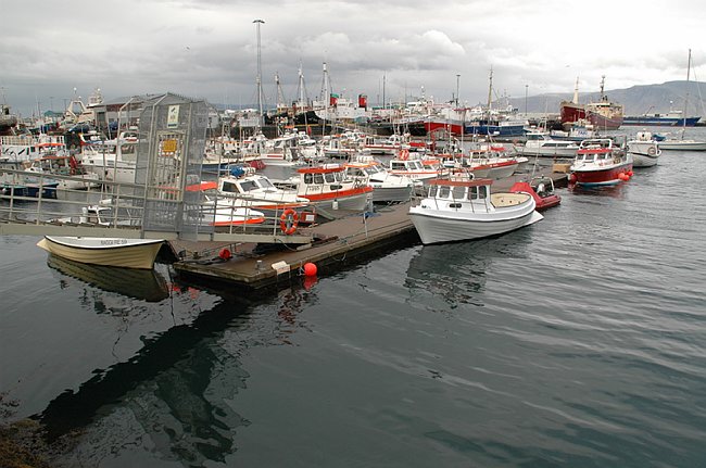 DSC_6792.JPG