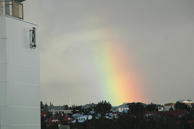DSC_6815.JPG