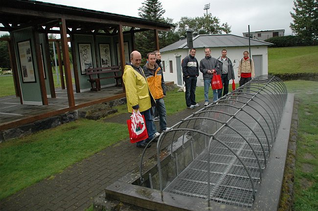 DSC_6560.JPG