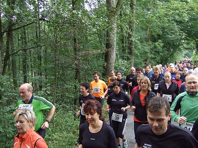 Sterntaler 2008 234.jpg