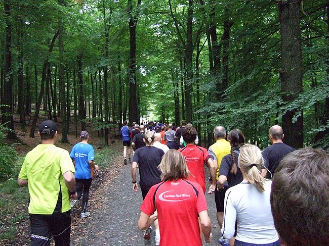 Sterntaler 2008 238.jpg