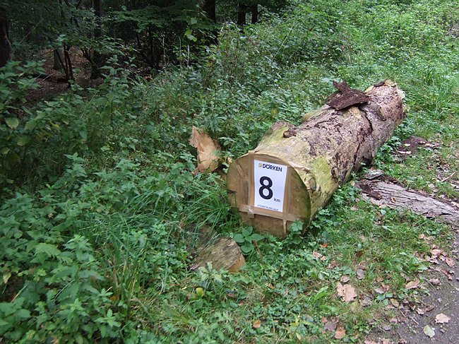 Sterntaler 2008 280.jpg