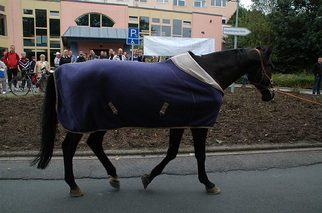 DSC_9207.JPG