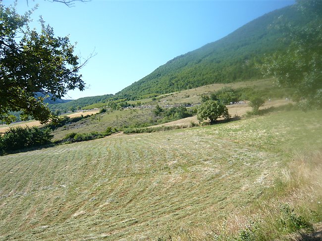 P1010680.JPG